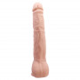 Dildo Réaliste Beautiful Dick 27x4,2cm Baile