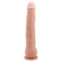 Dildo Réaliste Beautiful Dick 27x4,2cm Baile