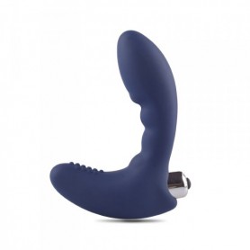 Stimulateur Vibrant de Prostate Bleu Toyz4Lovers