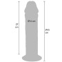 Gode Réaliste XXL Droit Get Real ToyJoy 29,5x6cm