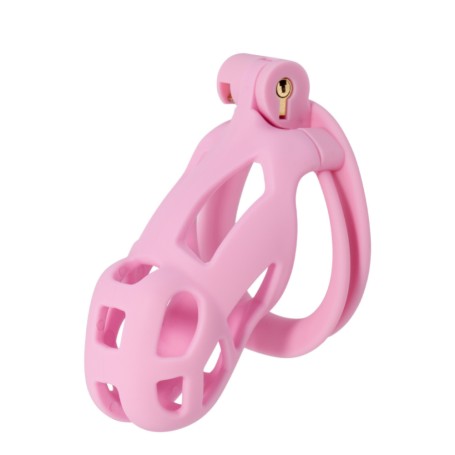 Cage à Pénis Prison Rose Hidden Desire