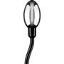 Oeuf Bipolaire ElectraStim Egg Tadpole 15x3cm