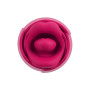 Vibro Oral Fun Licking Tongue - You2Toys