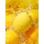 Stimulateur clitoridien ROMP Lemon Crush
