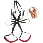 Balançoire d'amour Body Swing Bad Kitty harnais 120 kg