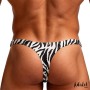 String Homme Zèbre Jake Adalet lingerie masculine